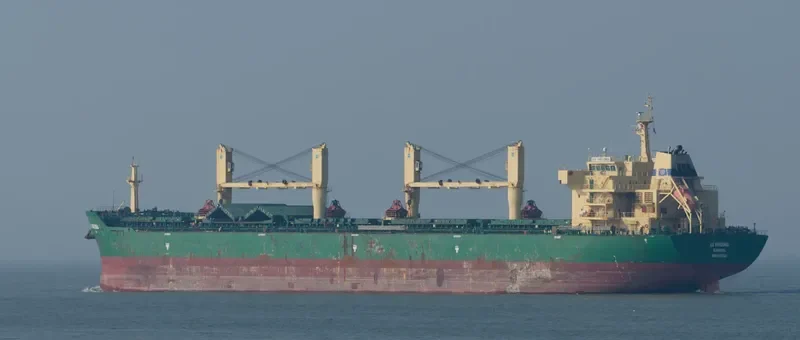 FLC HAPPINESS Bulk Carrier IMO 9453224 photo 6