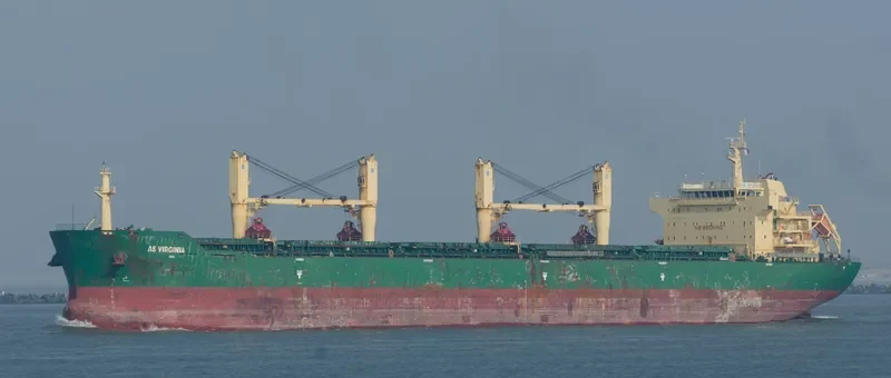 FLC HAPPINESS Bulk Carrier IMO 9453224 photo 7