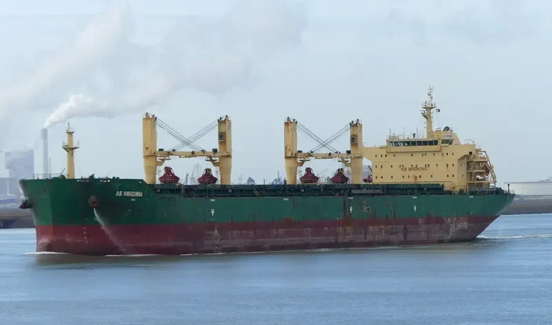 FLC HAPPINESS Bulk Carrier IMO 9453224 photo 8