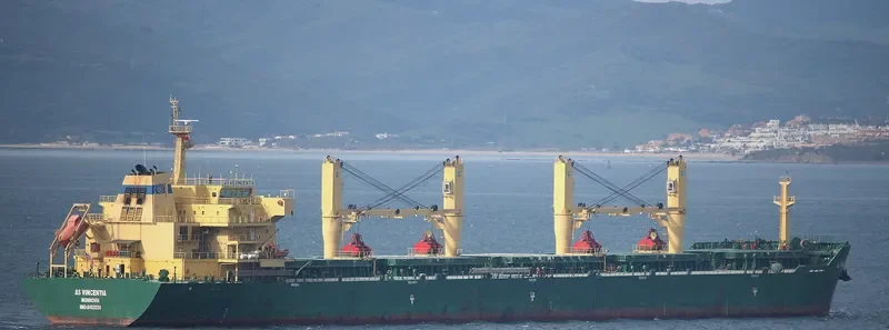 XIN HAI TONG 23 Bulk Carrier IMO 9453236 photo 2