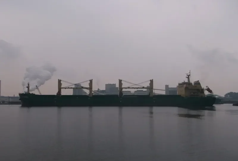 XIN HAI TONG 23 Bulk Carrier IMO 9453236 photo 6