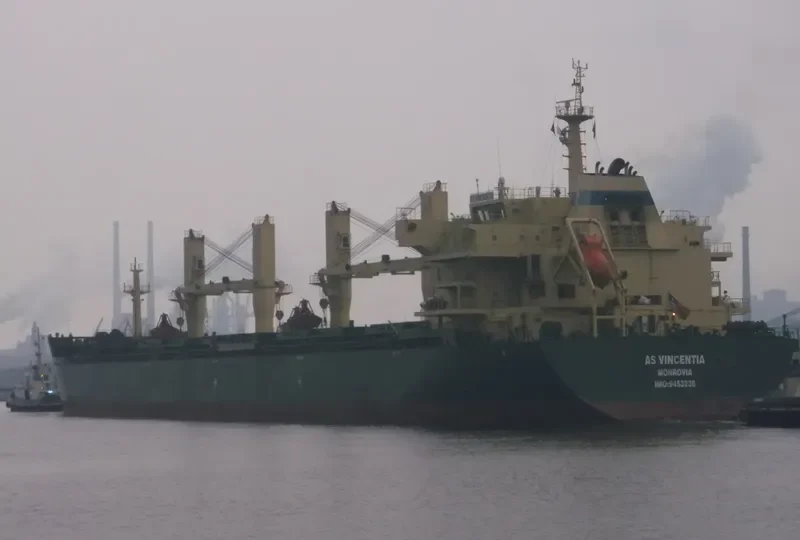 XIN HAI TONG 23 Bulk Carrier IMO 9453236 photo 7