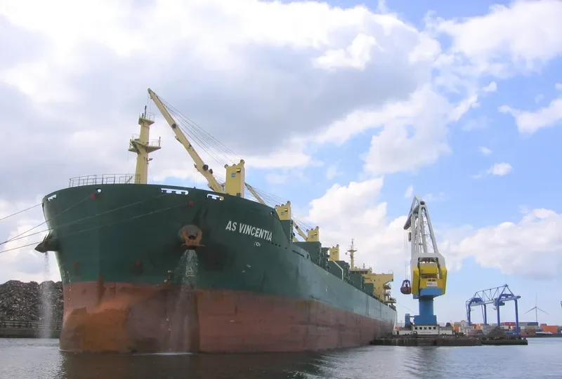 XIN HAI TONG 23 Bulk Carrier IMO 9453236 photo 8