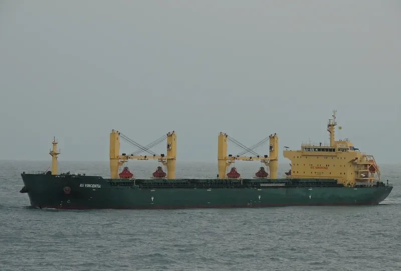 XIN HAI TONG 23 Bulk Carrier IMO 9453236 photo 10