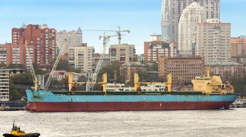 OCEAN KNIGHT Bulk Carrier IMO 9453248 photo 2