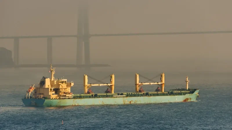 OCEAN KNIGHT Bulk Carrier IMO 9453248 photo 4