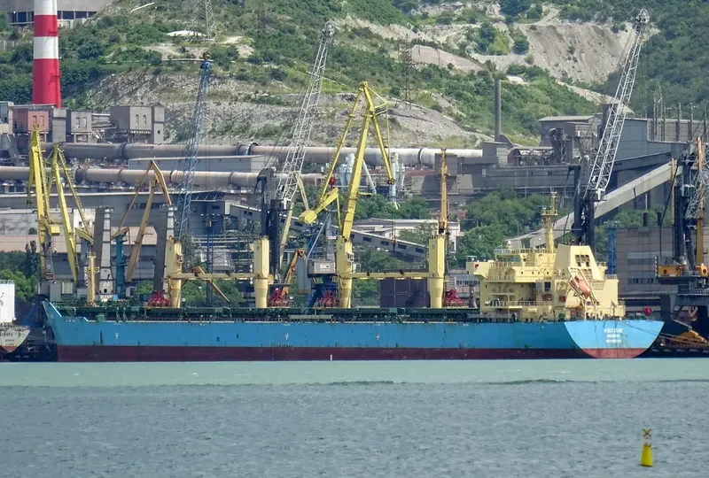 OCEAN KNIGHT Bulk Carrier IMO 9453248 photo 5