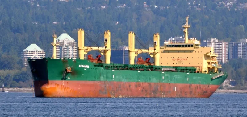 OCEAN KNIGHT Bulk Carrier IMO 9453248 photo 6