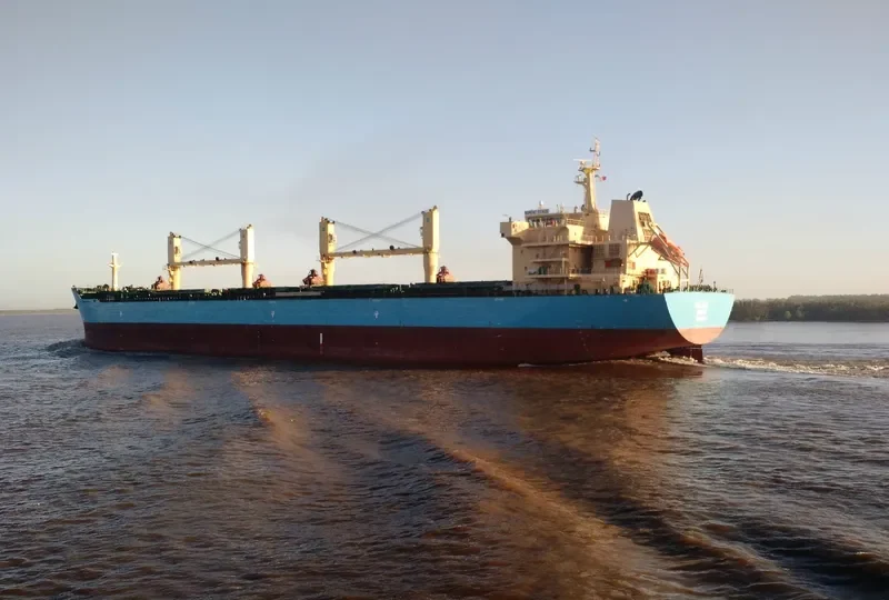 OCEAN KNIGHT Bulk Carrier IMO 9453248 photo 7