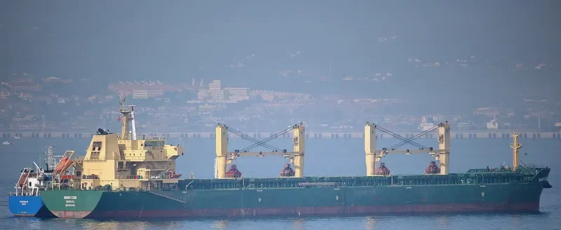 OCEAN KNIGHT Bulk Carrier IMO 9453248 photo 9