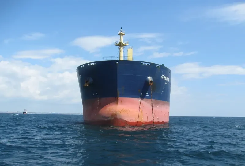 JY VALDIVIA Bulk Carrier IMO 9453250 photo 3