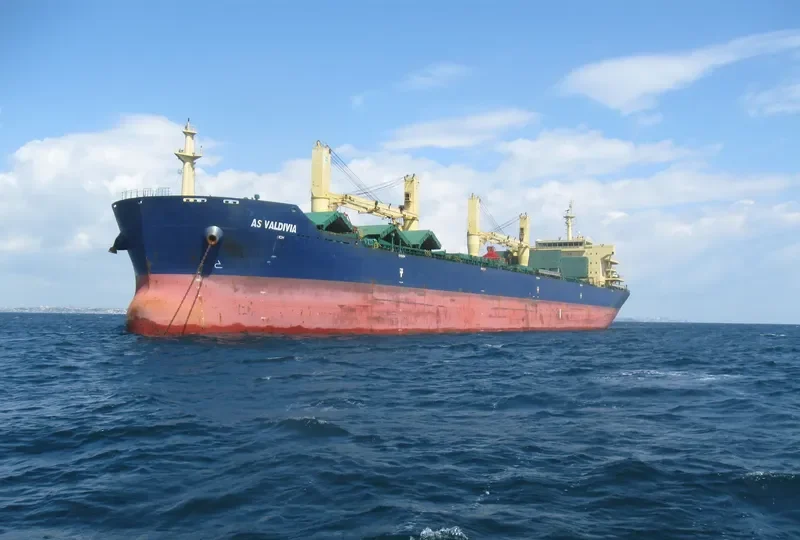 JY VALDIVIA Bulk Carrier IMO 9453250 photo 4