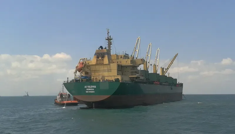 JY VALDIVIA Bulk Carrier IMO 9453250 photo 7