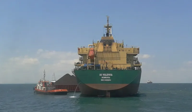 JY VALDIVIA Bulk Carrier IMO 9453250 photo 8