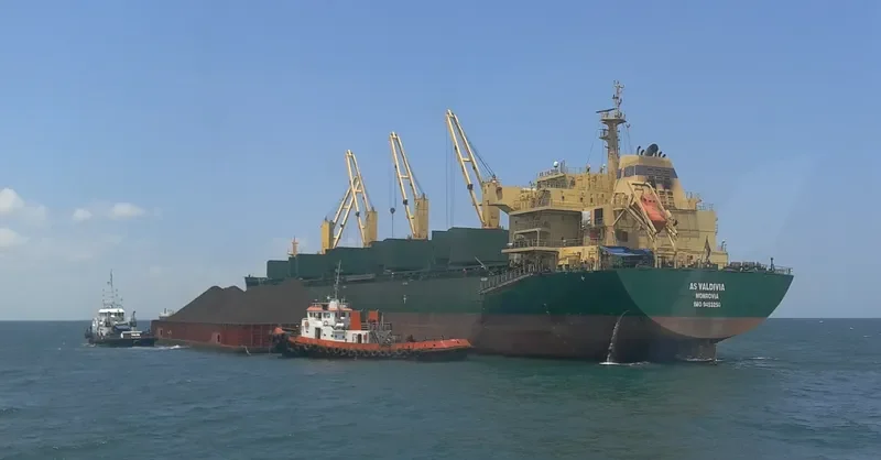 JY VALDIVIA Bulk Carrier IMO 9453250 photo 9