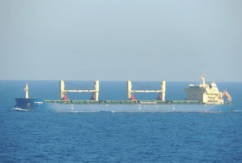 XIN HAI TONG 27 Bulk Carrier IMO 9453262 photo 4