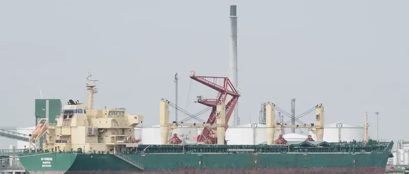 XIN HAI TONG 27 Bulk Carrier IMO 9453262 photo 7