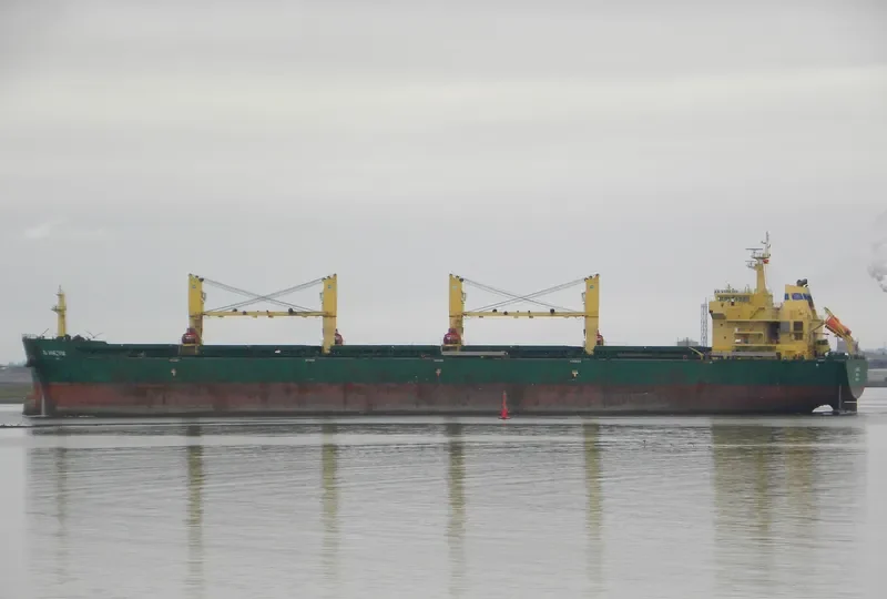XIN HAI TONG 27 Bulk Carrier IMO 9453262 photo 10