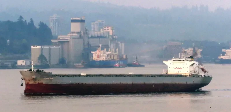 SFAKIA WAVE Bulk Carrier IMO 9453391