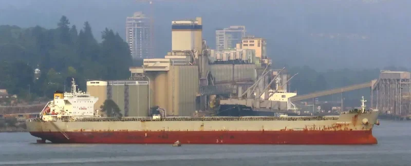 SFAKIA WAVE Bulk Carrier IMO 9453391 photo 2