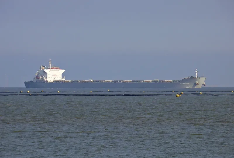 MYKONOS WAVE Bulk Carrier IMO 9453406 photo 2