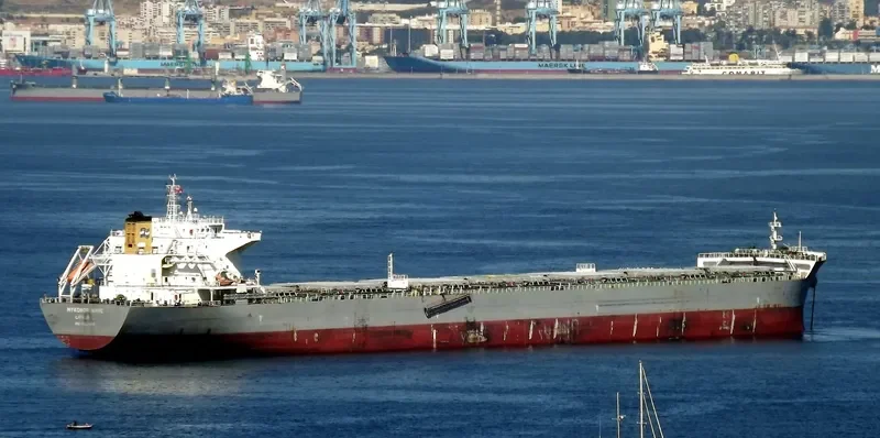MYKONOS WAVE Bulk Carrier IMO 9453406 photo 7