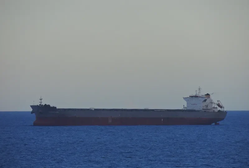 MYKONOS WAVE Bulk Carrier IMO 9453406 photo 8
