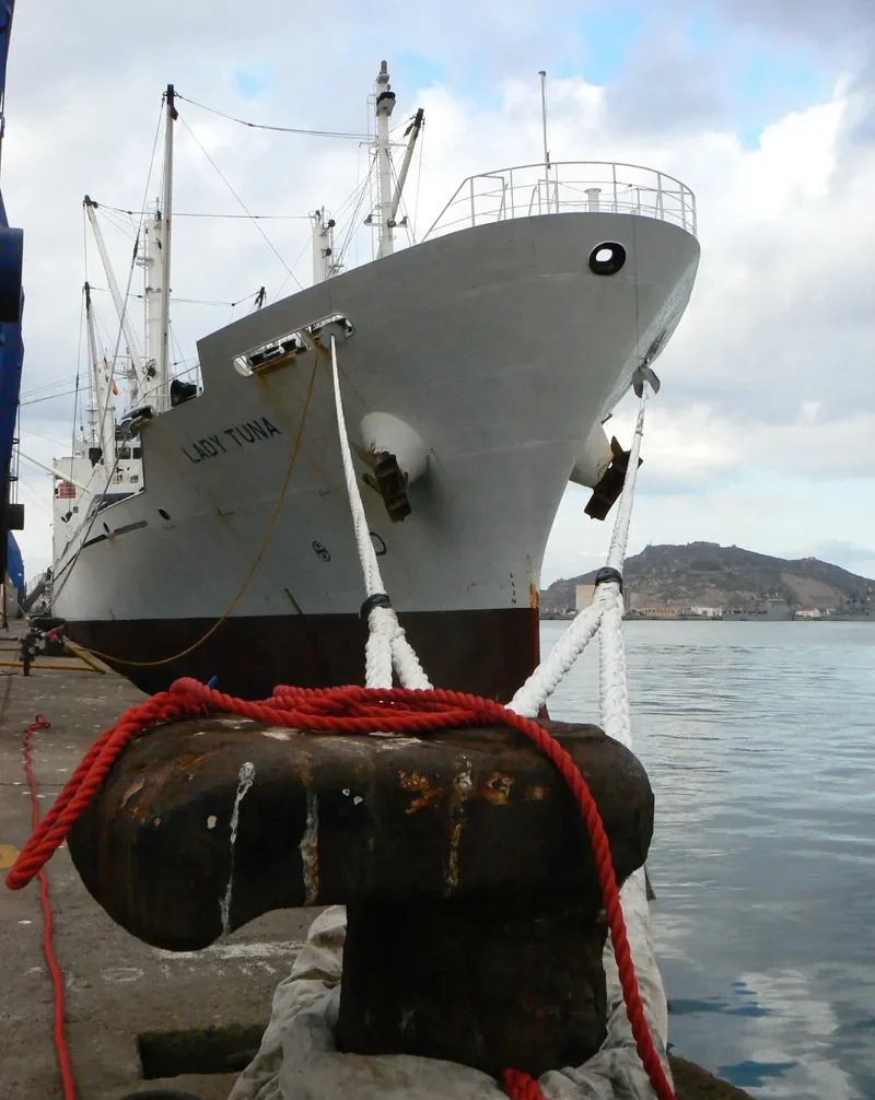 LADY TUNA General Cargo IMO 9453418
