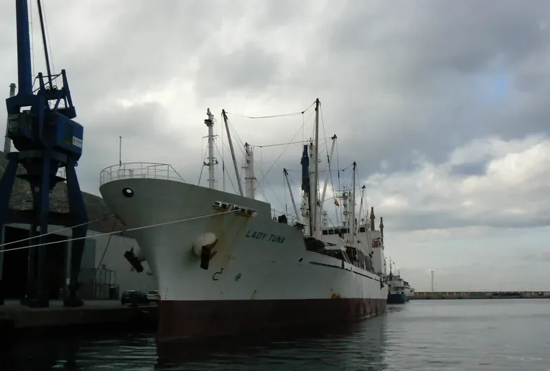 LADY TUNA General Cargo IMO 9453418 photo 2