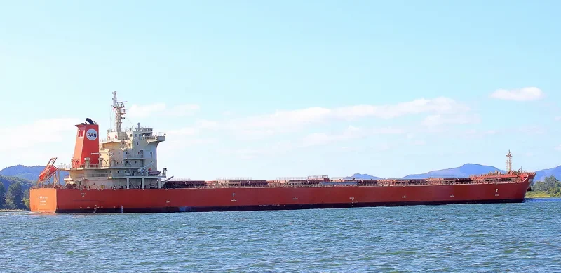 PAN VIVA Bulk Carrier IMO 9453494 photo 2