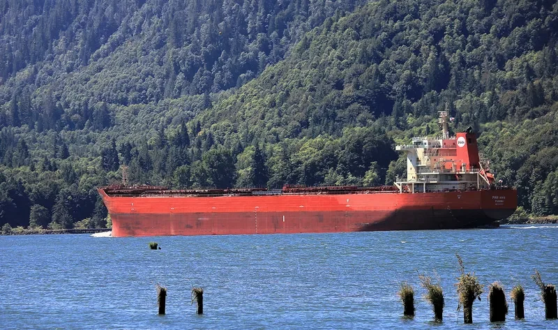 PAN VIVA Bulk Carrier IMO 9453494 photo 3