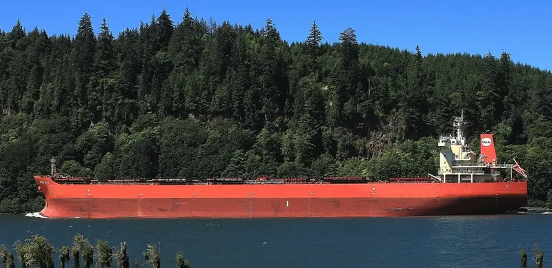 PAN VIVA Bulk Carrier IMO 9453494 photo 5