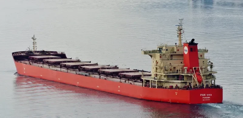 PAN VIVA Bulk Carrier IMO 9453494 photo 7