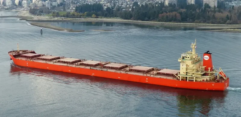 PAN VIVA Bulk Carrier IMO 9453494 photo 8