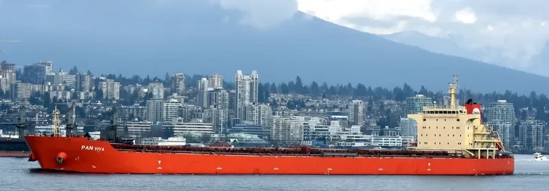 PAN VIVA Bulk Carrier IMO 9453494 photo 9
