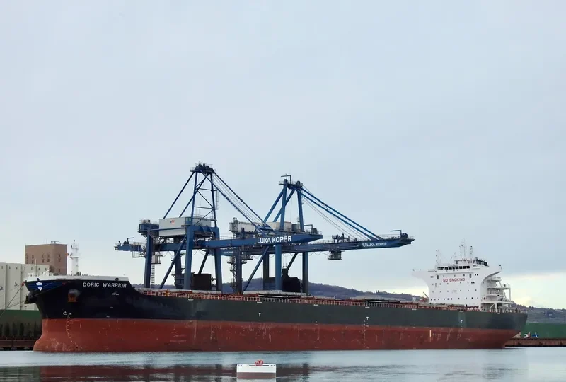 DORIC WARRIOR Bulk Carrier IMO 9453511 photo 2
