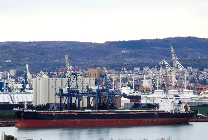 DORIC WARRIOR Bulk Carrier IMO 9453511 photo 4