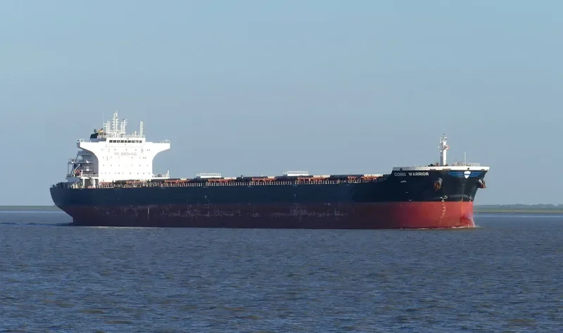 DORIC WARRIOR Bulk Carrier IMO 9453511 photo 10