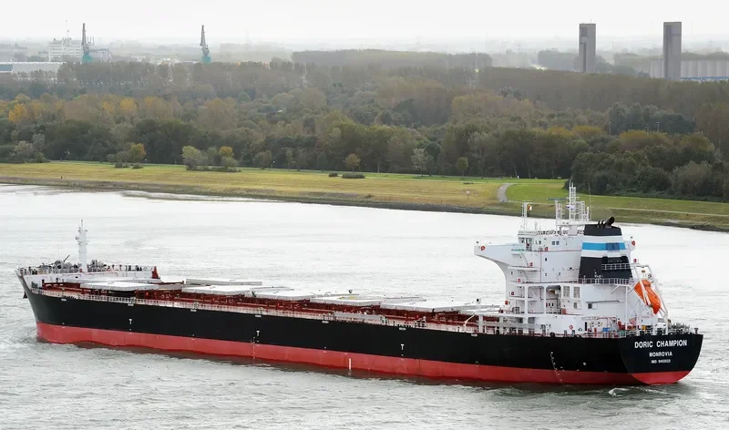 SARONIC CHAMPION Bulk Carrier IMO 9453523 photo 2