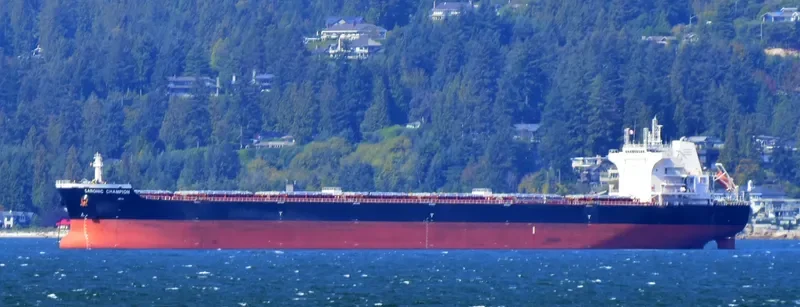 SARONIC CHAMPION Bulk Carrier IMO 9453523 photo 5