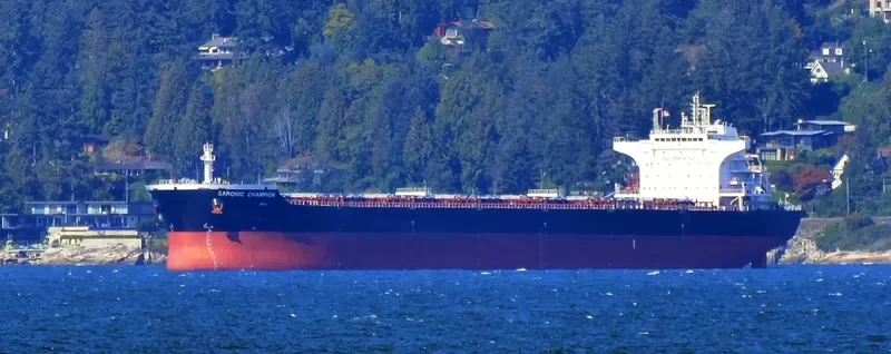 SARONIC CHAMPION Bulk Carrier IMO 9453523 photo 6