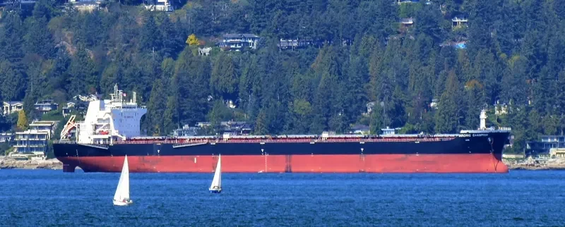 SARONIC CHAMPION Bulk Carrier IMO 9453523 photo 7