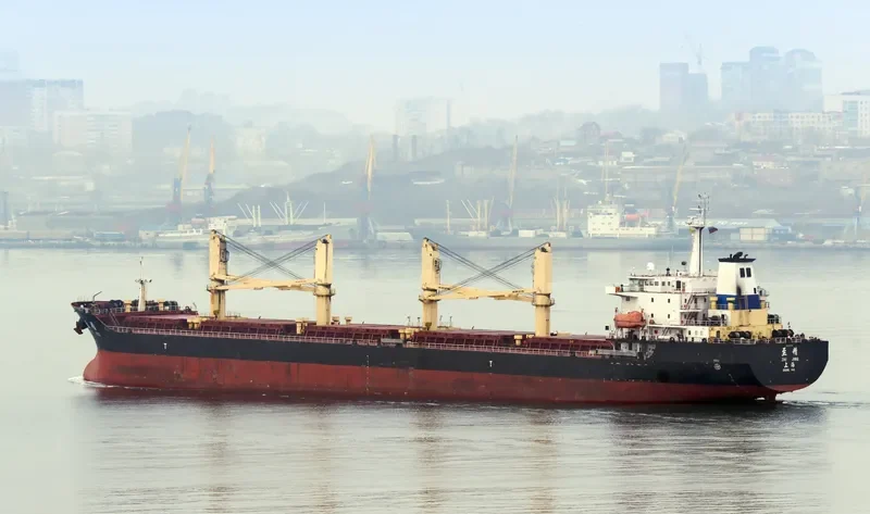 CHANG FENG 98 Bulk Carrier IMO 9453561 photo 2