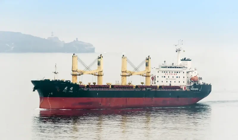 CHANG FENG 98 Bulk Carrier IMO 9453561 photo 3
