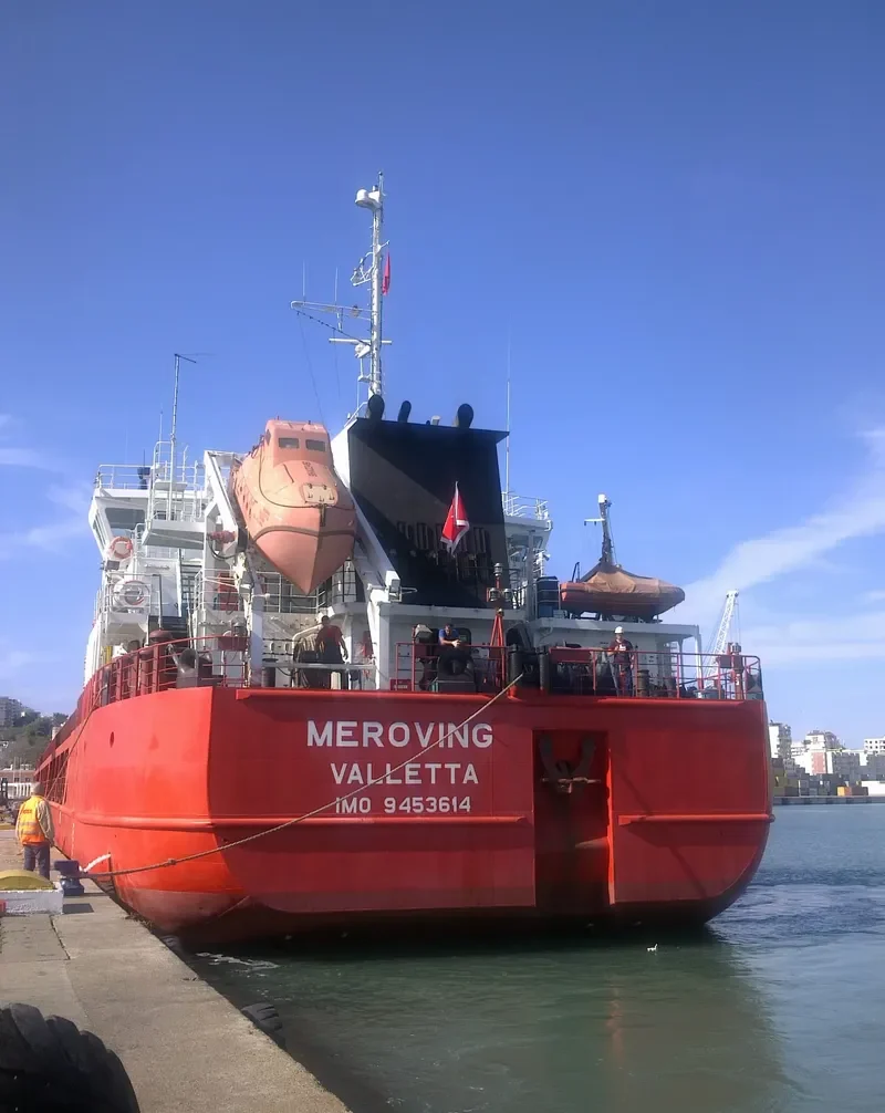 MEROVING General Cargo IMO 9453614
