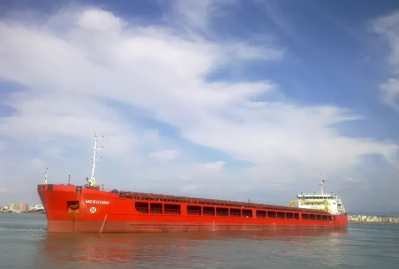 MEROVING General Cargo IMO 9453614 photo 2