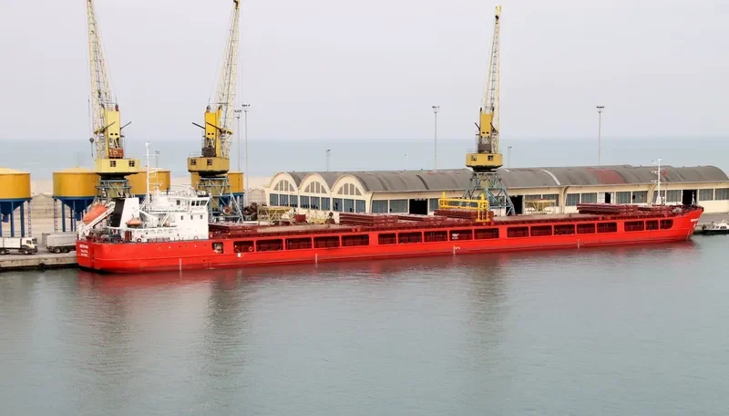 MEROVING General Cargo IMO 9453614 photo 3