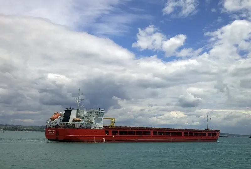 MEROVING General Cargo IMO 9453614 photo 4