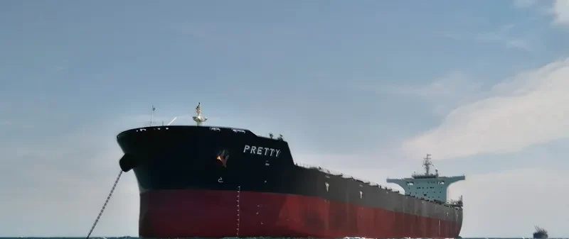 AQUAENNA Bulk Carrier IMO 9453743 photo 3