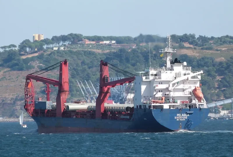 PELAGICA General Cargo IMO 9453781 photo 2